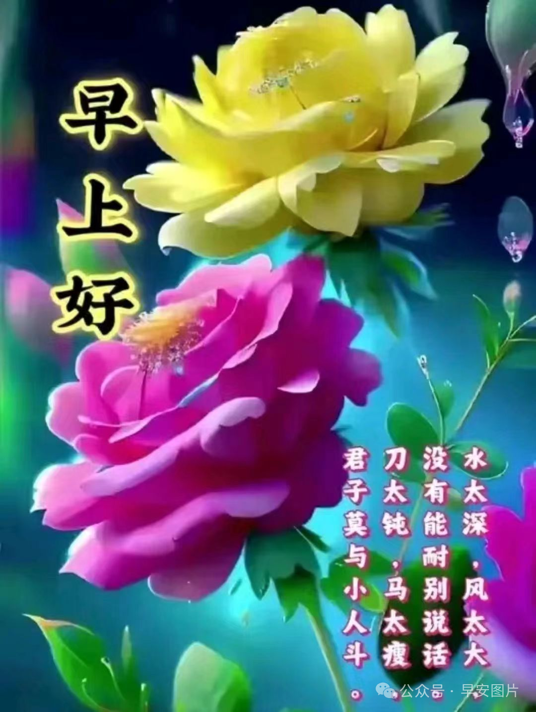 最新年祝福寄語，愿美好與你同在