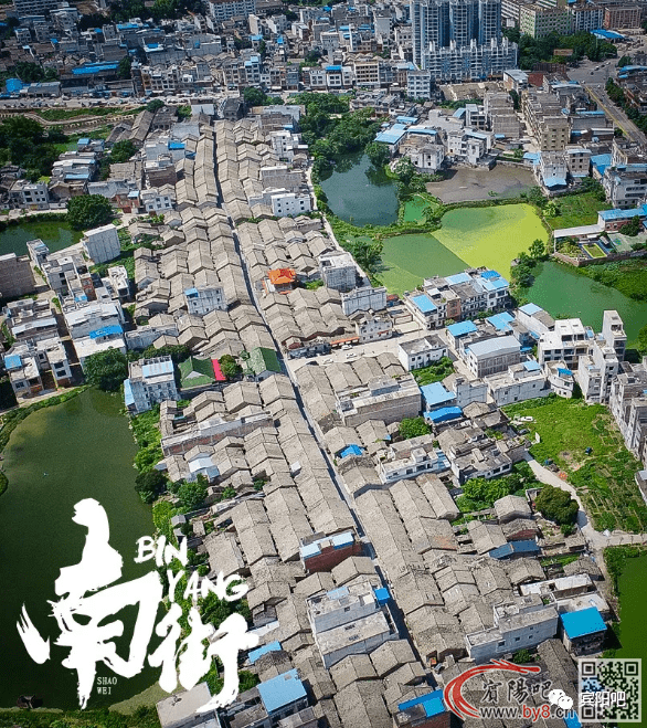 風(fēng)花戀最新，探索情感與時(shí)代的交織之美