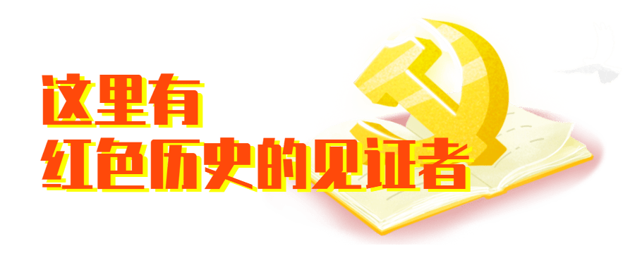 2024正版資料免費公開，共享知識，共創(chuàng)未來