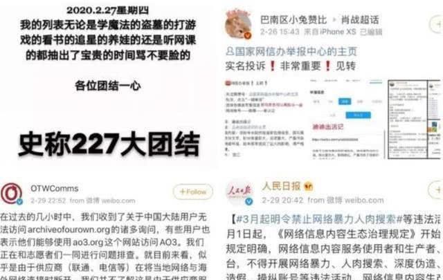 澳門管家婆一碼一肖，揭秘背后的違法犯罪問題