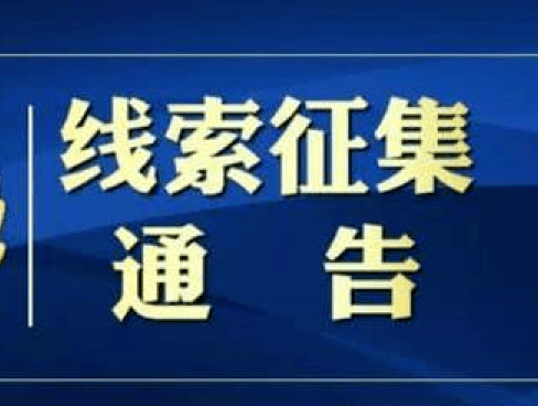 澳門正版精準(zhǔn)免費(fèi)大全，揭示違法犯罪的危害與警示