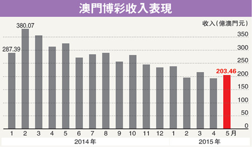 澳門彩票的歷史記錄與結(jié)果查詢，探索與理解