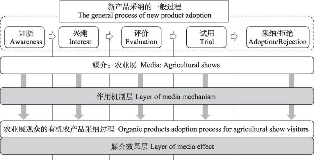 澳門三肖三碼精準100，詞語背后的犯罪問題及其解釋落實的重要性