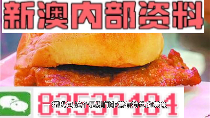 新澳門精準(zhǔn)資料期期精準(zhǔn)，詞語釋義與落實(shí)的重要性