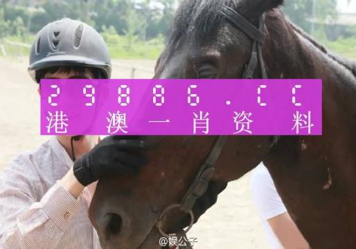 一肖一碼一必中一肖——深度解讀與詞語(yǔ)釋義解釋落實(shí)