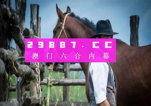 澳門精準(zhǔn)一肖一碼，揭秘背后的真相與警惕之心