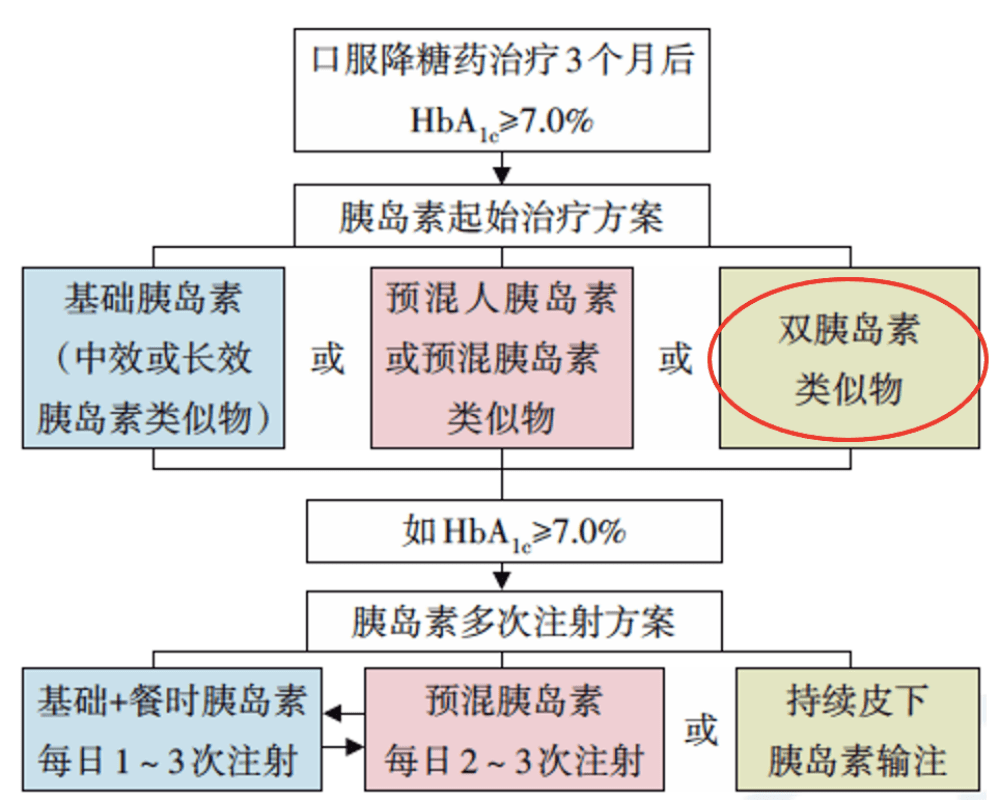 新澳姿料大全正版2024，全面解讀與詞語釋義的落實(shí)