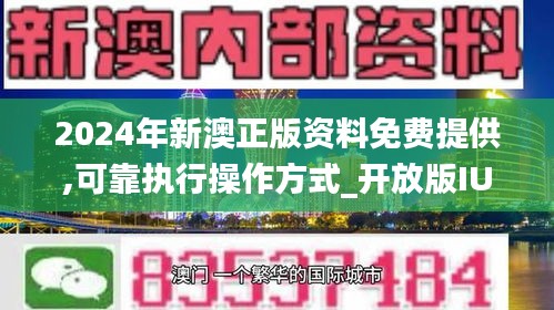 新澳2024正版資料免費公開，詞語釋義與落實解釋