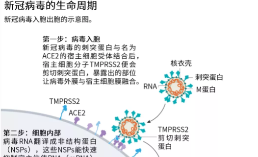 最新病毒新藥，突破與希望