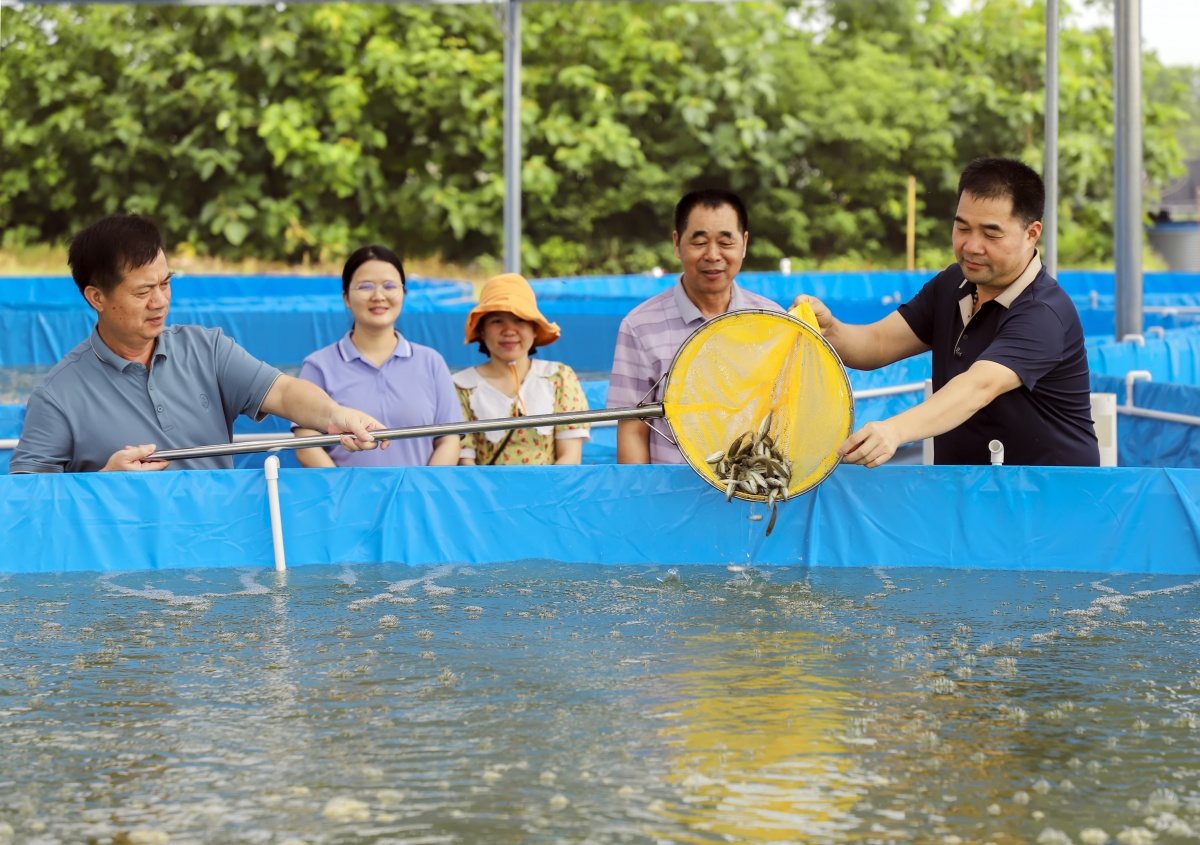 魚(yú)塘最新版，智能化、生態(tài)化的水產(chǎn)養(yǎng)殖新模式