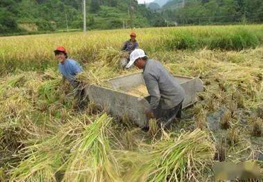 隴南暴雨最新信息，暴雨影響及應(yīng)對(duì)措施