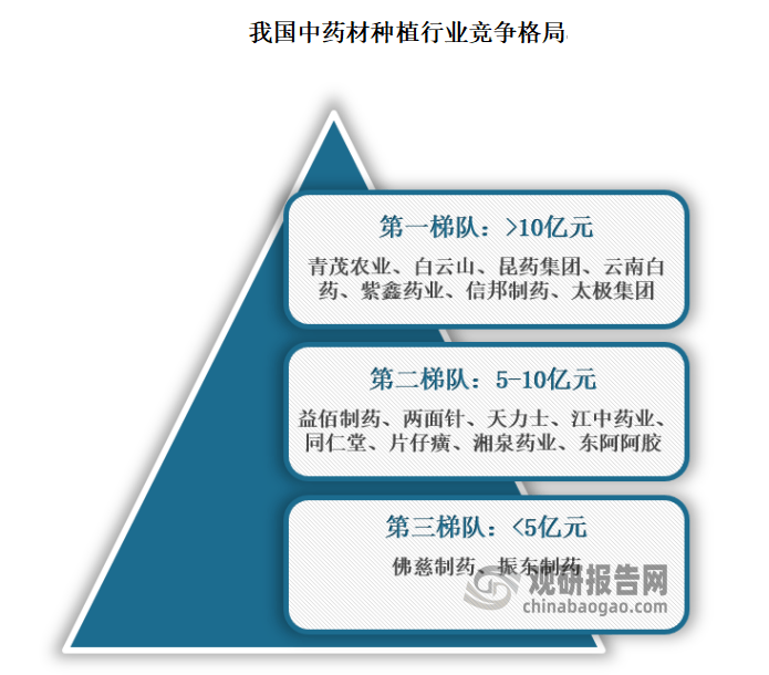 藥材市場最新動態(tài)，趨勢、機遇與挑戰(zhàn)